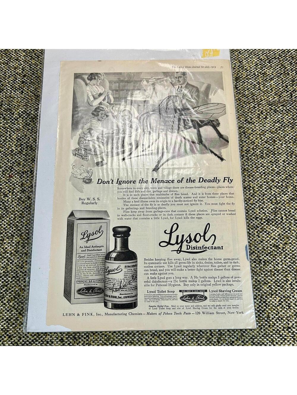 Vintage 1919 Lysol Disinfectant Ad‎ Ladies Home Journal Deadly Fly Art